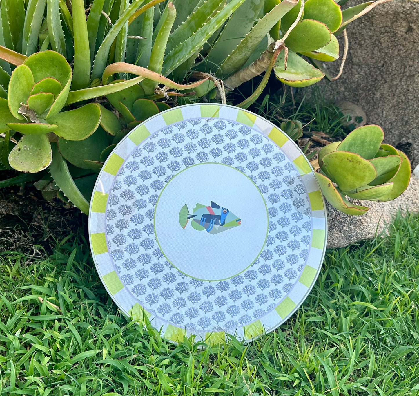 Set - 3Chic - Pesce Picasso - Grafica Coralli